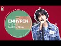 (ENG) [LIVE] 엔하이픈 (ENHYPEN) - Not For Sale / 전효성의 꿈꾸는 라디오 / MBC 210511 방송