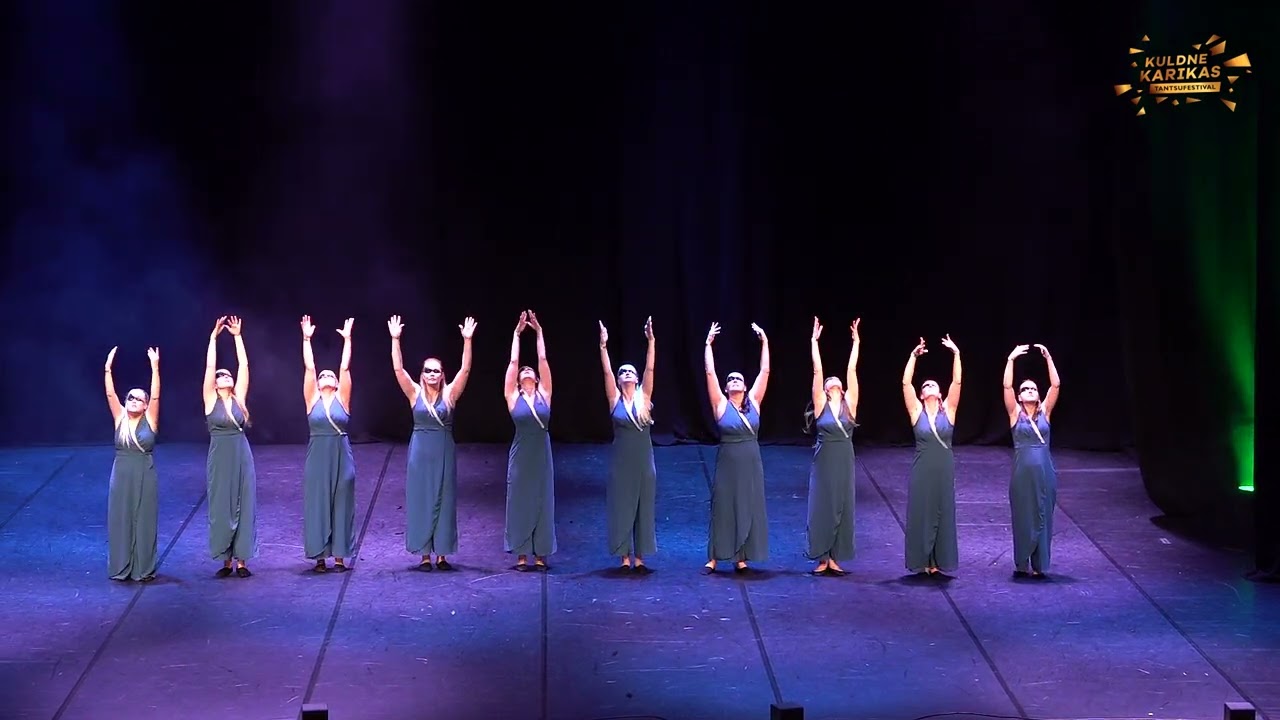 Error Tantsukool/Kuldne Karikas 2025/Siluett öös/Täiskasvanud