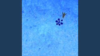 Download Lagu Impose MP3