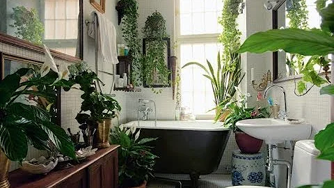 Quelle plante tombante dans une salle de bain ?