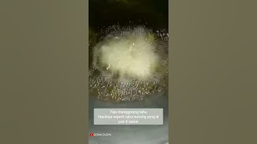 Thumbnail of CARA MENGGORENG TAHU AGAR KOPONG || TAHU PONG