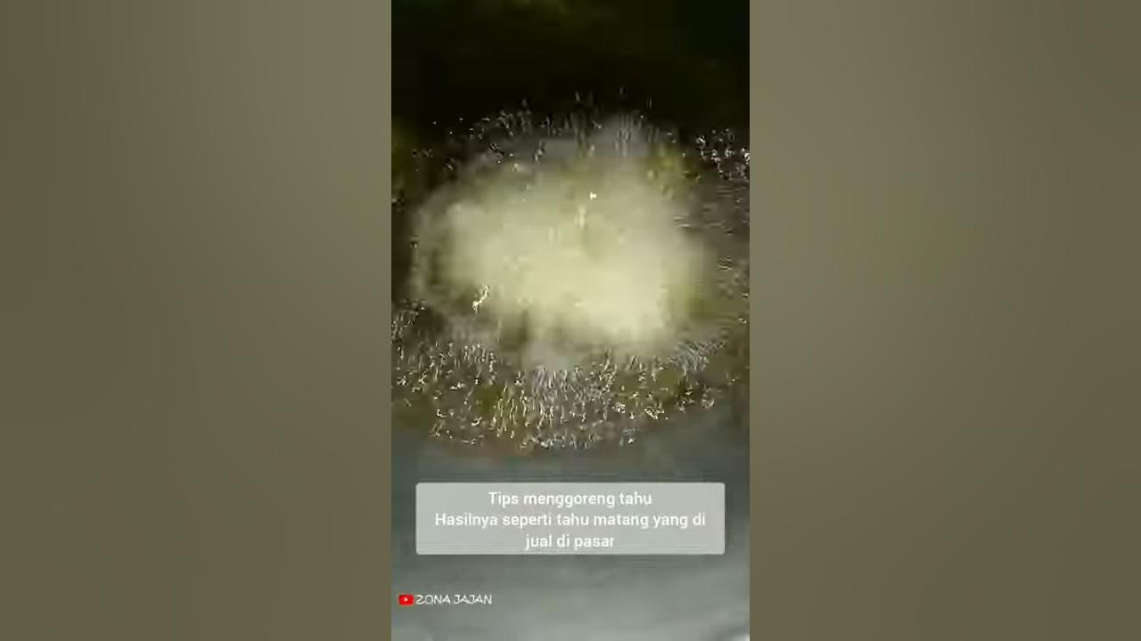 CARA MENGGORENG TAHU AGAR KOPONG || TAHU PONG