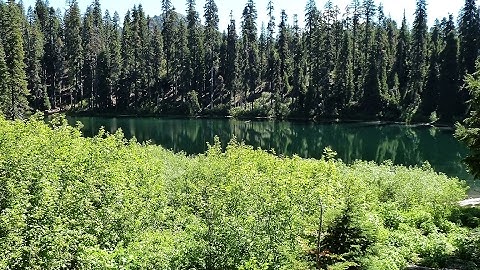 new custom rsps unique ps