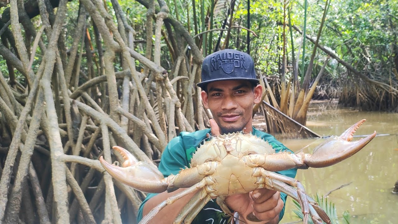 memburu ketam nipah ketika air keruh eps202