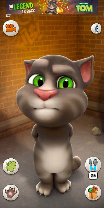 Talking Tom Cat Part 13647 #Shorts
