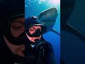 #DeepSea #Ocean #ScubaDiving #Underwater #Exploration #LostTreasures #Mystery 🌟