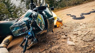 Crashing on the Washington Backcountry Discovery Route