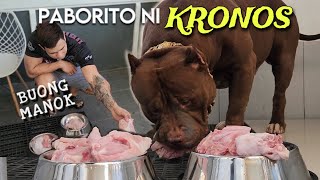 HOW I FEED MY GIANT XL AMERICAN BULLY DOG • KRONOS • Chicken Breast + Legs • Sam Walastik