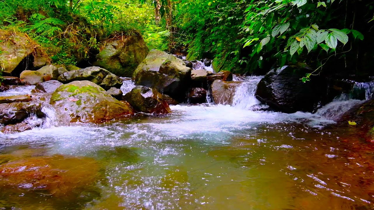 CALMING RIVERS, Beautiful Stream Sounds, Lovely Nature Sounds, Cozy ...