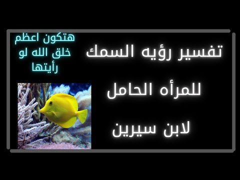 تفسير رؤيه السمك للمرأه الحامل لابن سيرين