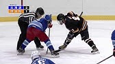 Nhlのスーパープレイを楽しもう Youtube