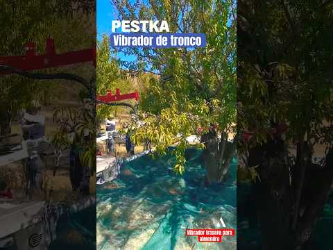 Vibrador trasero PESTKA