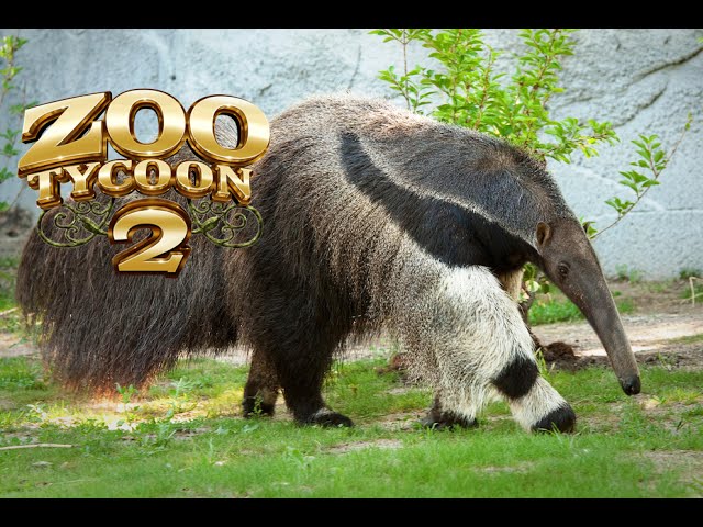 Zoo Tycoon 2  The Virtual Observatory