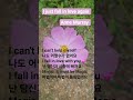 ##oldies but goodies pop song 🎵 #올드팝듣기 #추억의팝송 #I just fall in love again by Anne Murray ❤️
