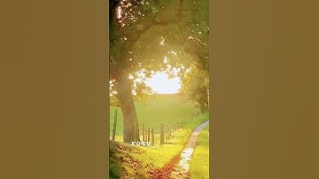 #بلغوا_عني_ولو_آية #اسلامية #آيات #آية #تيك_توك #قران_كريم #quran #tiktok #راحة_نفسية #ارح_سمعك