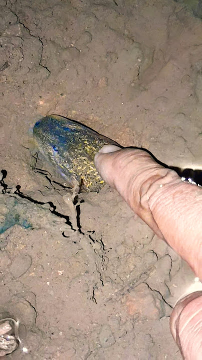 It was scary at first but I was scared and tried it anyway #videoshorts #eel #youtubehomepage #scary