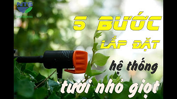 5 bước Lắp đặt Hệ thống TƯỚI NHỎ GIỌT tự động - cho Ban công & Sân thượng