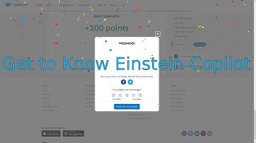 Get to Know Einstein Copilot