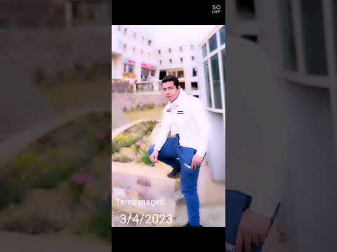 عايش في دوامه