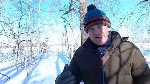Поведение собаки после вязки.