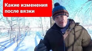 Поведение собаки после вязки.