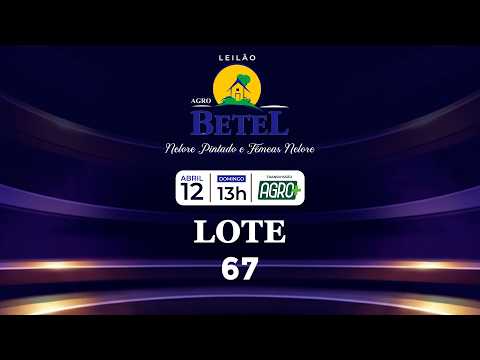 LOTE 67