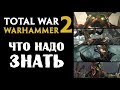 ТОП 10 Самое важное о Total War Warhammer 2