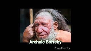 Phenotypes Of Neanderthals