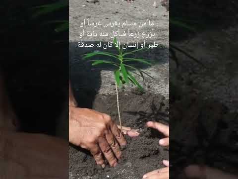 ما من مسلم يغرس غرسا إلا كان له صدقة