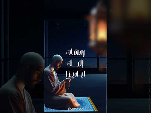 محمد كندو امل بلقائك يواسينا مونتاج شيماء محمد