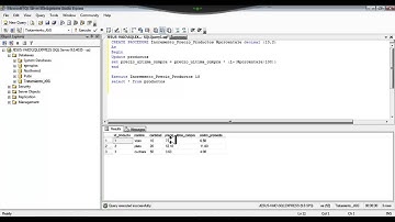 Procedimientos almacenados con parametros SQL Server 2005
