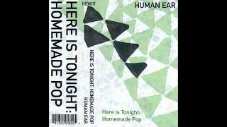 Various Artists - Here Is Tonight: Homemade Pop (2011)
