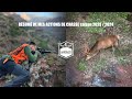 Rsum de mes actions de chasse saison 2023  2024