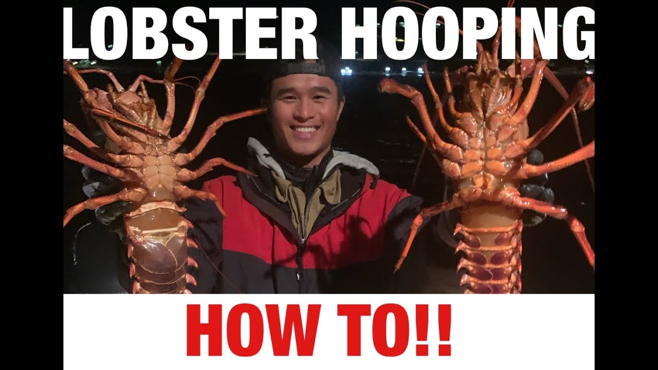 Ali & Rush go Lobster Hoop Netting in San Diego - Episode Rewind 