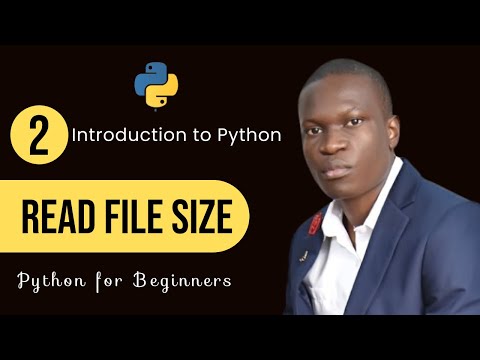 How to Check File Size using Python