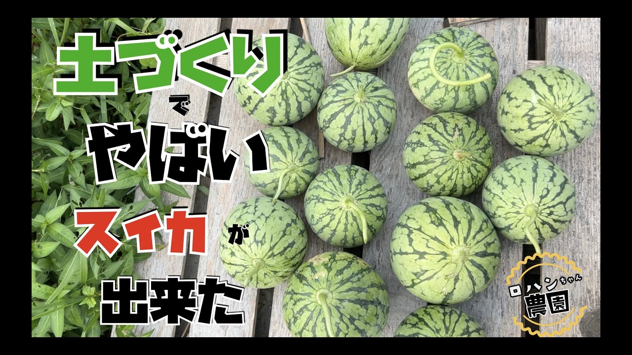 どのような症状がありますか?