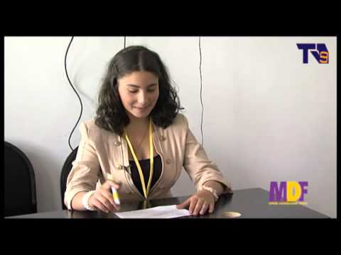 იმიტირებული არჩევნები (ახალქალაქი)