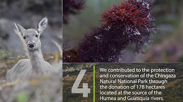 Our commitment to the Environment in Colombia