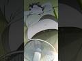 【ケモノ】zzz... #Shorts