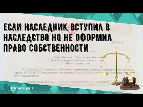 Видео: Възможно ли е да оставите наследство на вашата котка