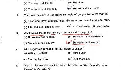 English Class 8th Half Yearly Exam Question Paper 2025-26 |🔴📚Class 8 English Half Yearly Paper 2025