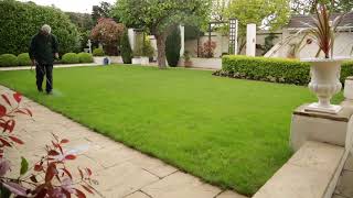 Lawn Weed Control - Weed Killers for your lawn