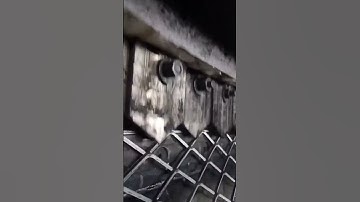 Heavy duty expanded mesh making #expandedmesh #expandedmetal #custom #shorts #satisfying