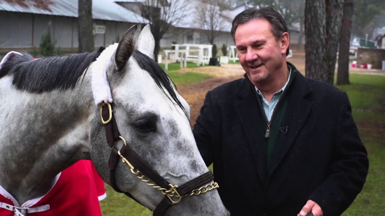horse racing news Gray Attempt Feature
