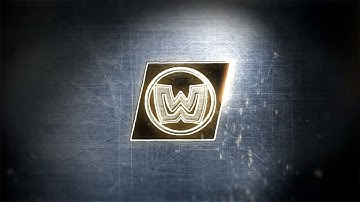 ID# 43 - Realistic 3d Logo reveal