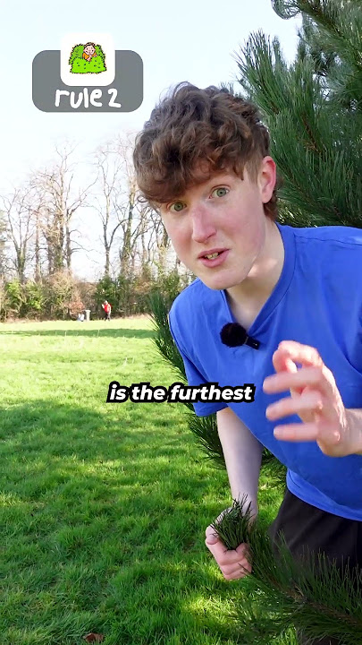 How To Win At Hide And Seek Every Time