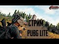 PUBG LITE