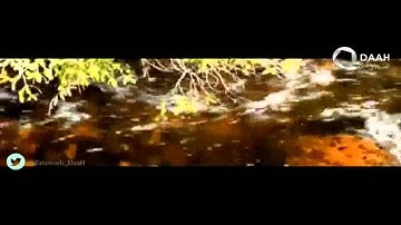 سورة الاعراف للشيخ ناصر القطامي رمضان 1436