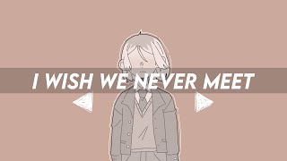 ♡I WISH WE NEVER MET♡ (meme)