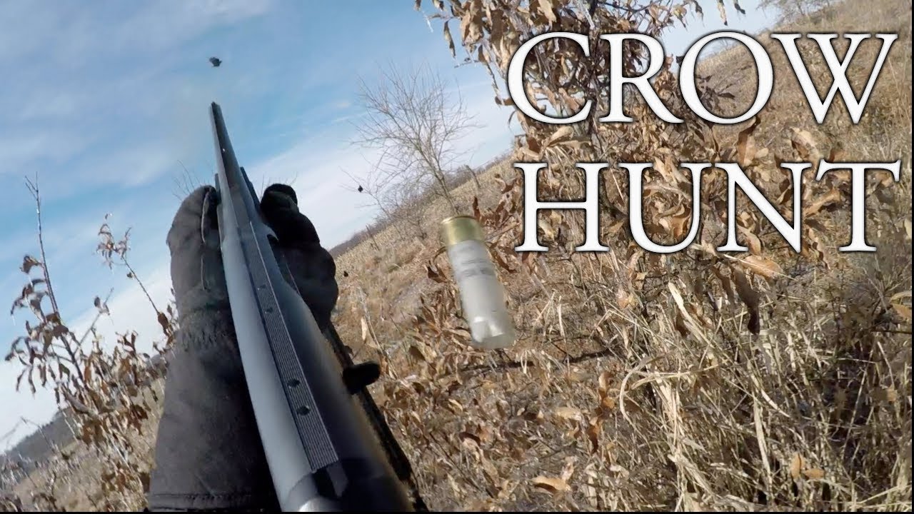 2018 How To Crow Hunt Iowa Crow Hunting YouTube